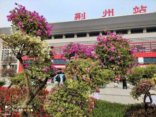 富阳到荆州物流公司,杭州富阳区至荆州物流专线，零担专线