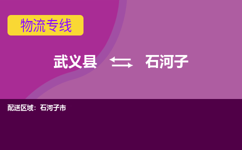 武义托运到石河子物流公司价格多少？-武义县到石河子物流专线要几天-武义县到石河子货运公司